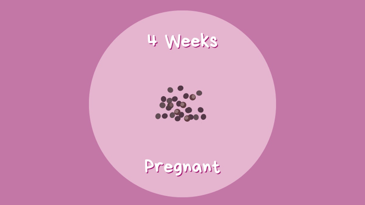 Week By Week | Pregnancy | Mother & Baby