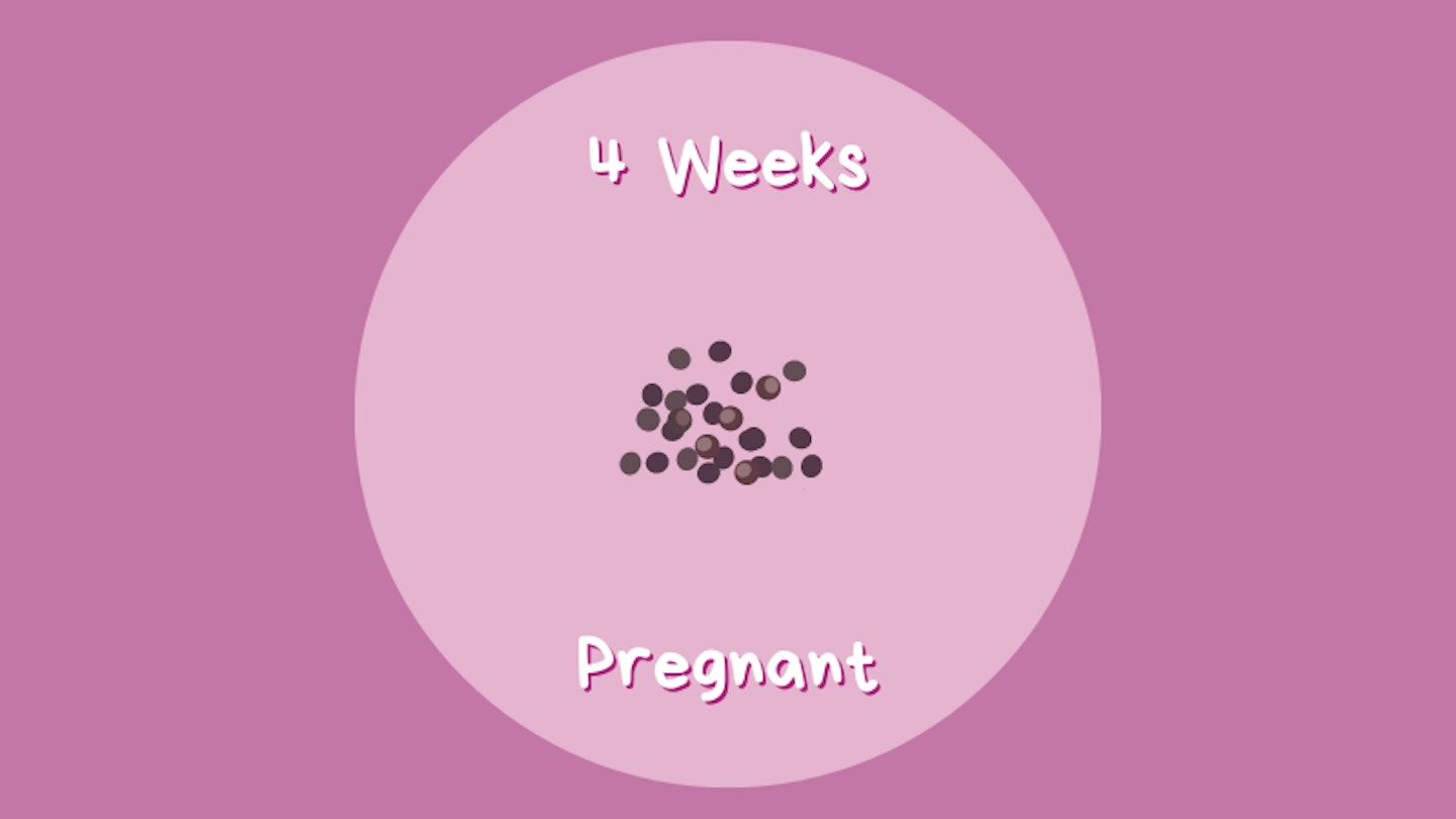 4 Weeks Pregnant Symptoms