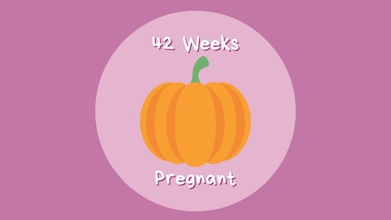 42 weeks pregnant: advice, symptoms, and what to expect | Pregnancy ...