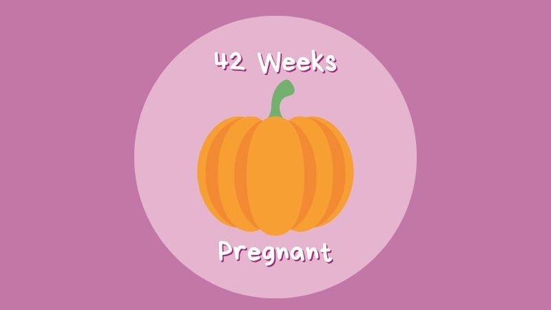 42 weeks pregnant: advice, symptoms, and what to expect | Pregnancy ...