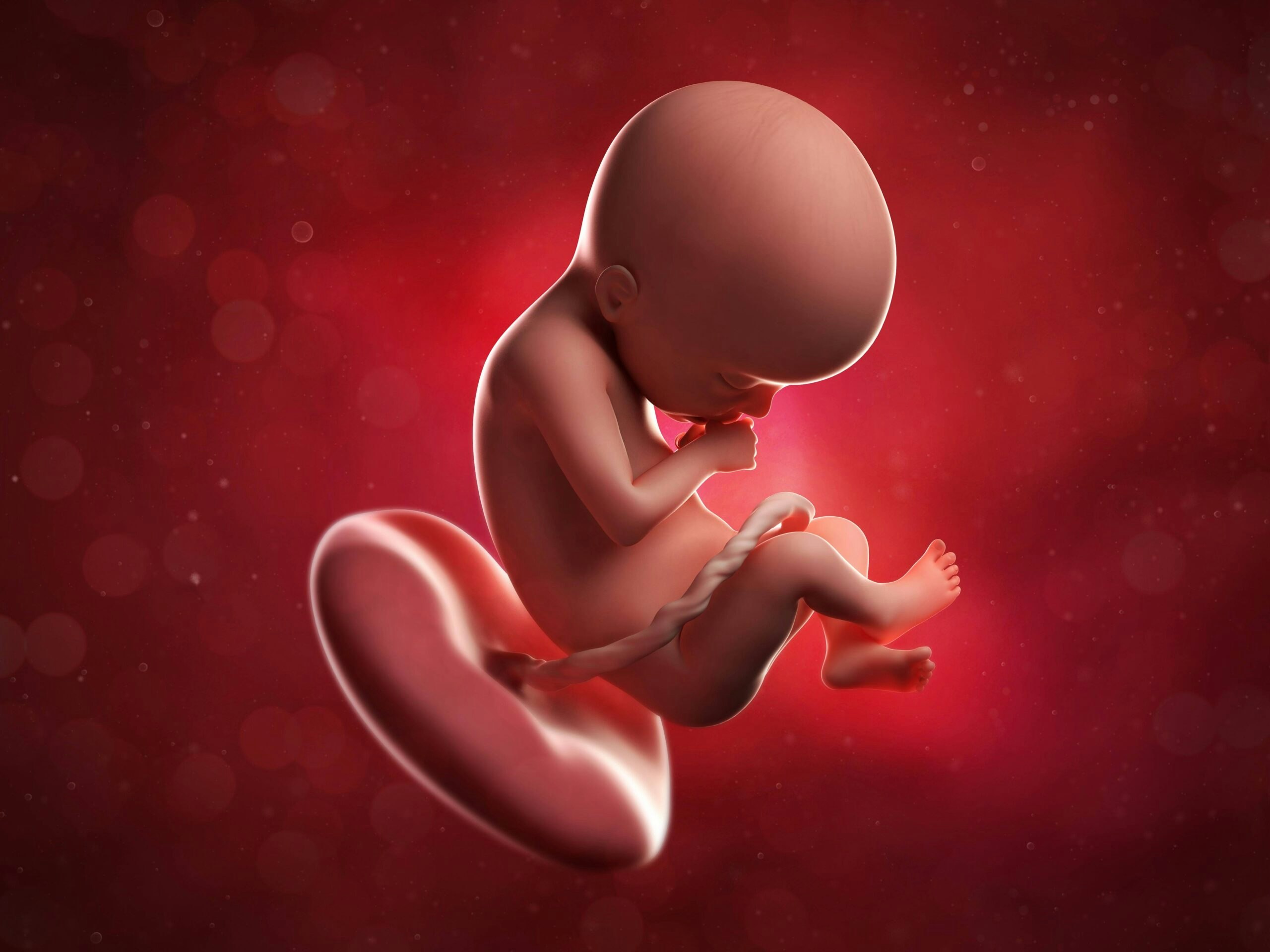 Baby at 21 weeks,