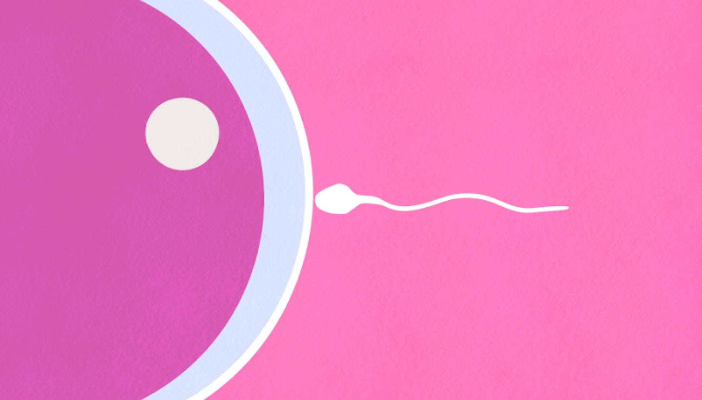 A minimalistic Illustration showcasing the moment a sperm cell approaches an egg cell, depicted against a soft pink background,