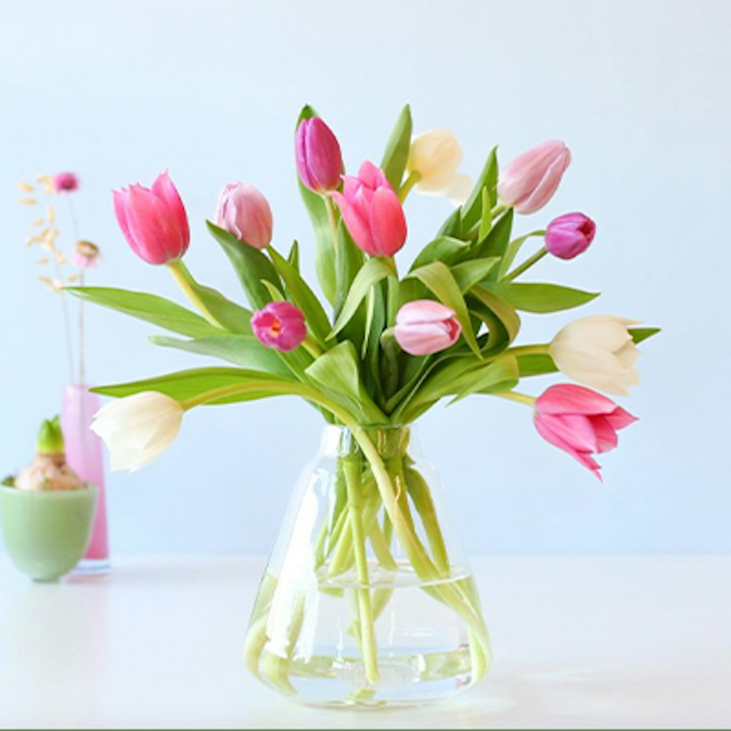 Letterbox tulips