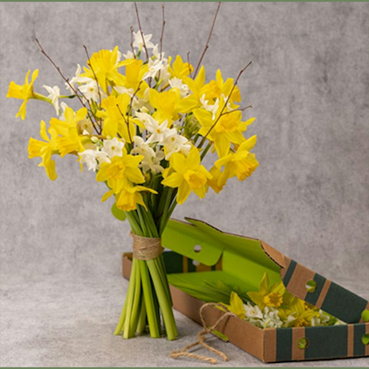 Waitrose daffodils