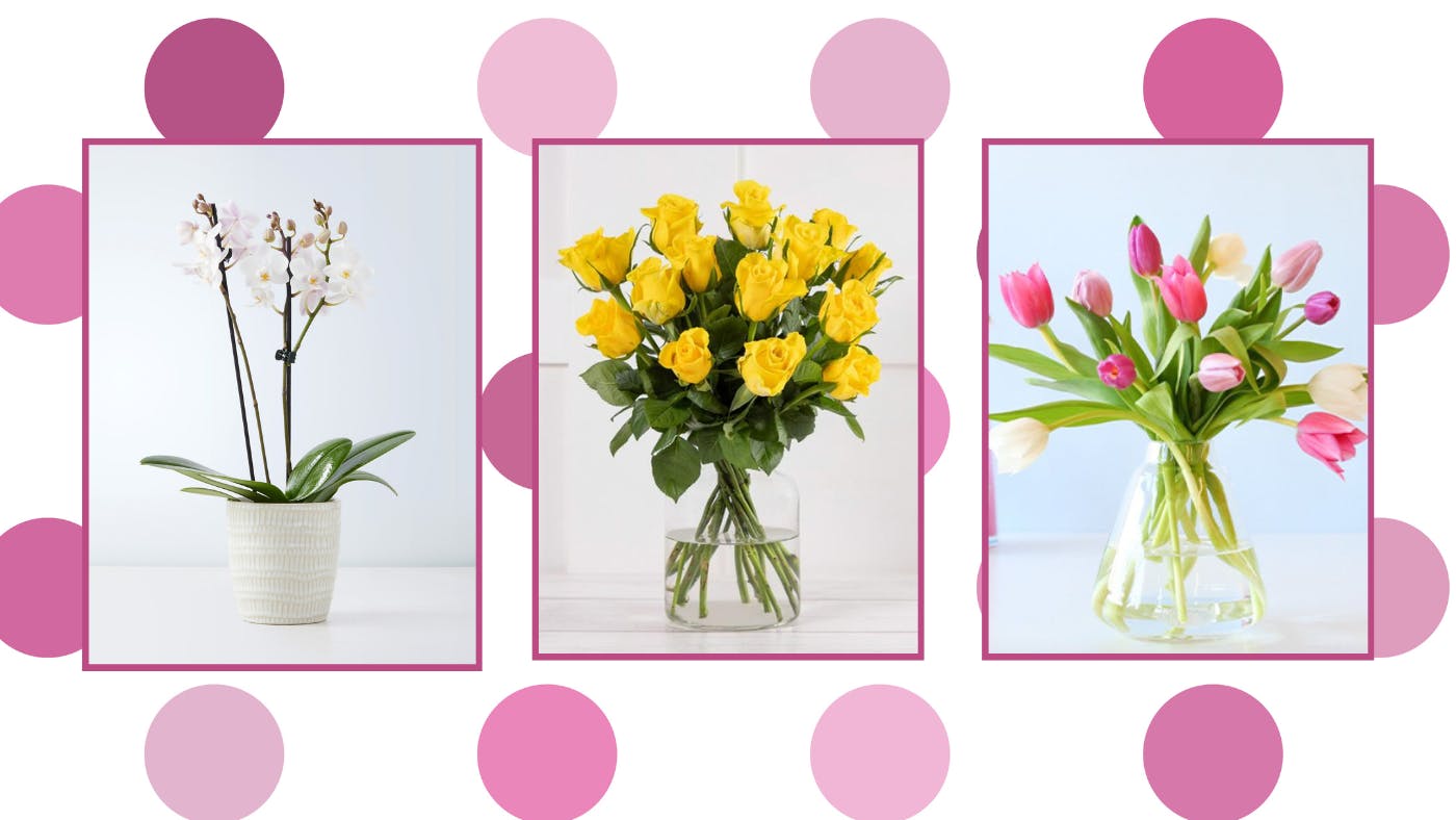 The Best Cheap Flower Delivery For Under 25   Cheap Flowers For Delivery 