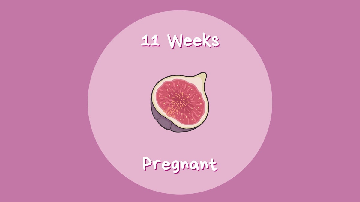 Week By Week | Pregnancy | Mother & Baby