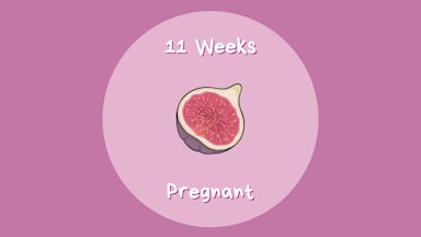 Week By Week | Pregnancy | Mother & Baby