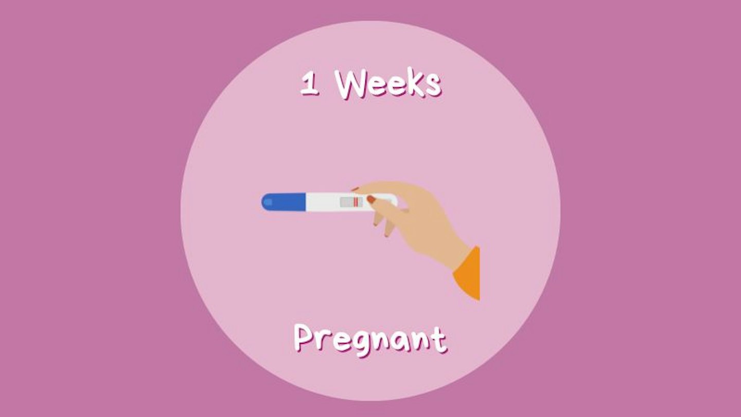 One Week Fetus Everything to know about your body at 1 week pregnant