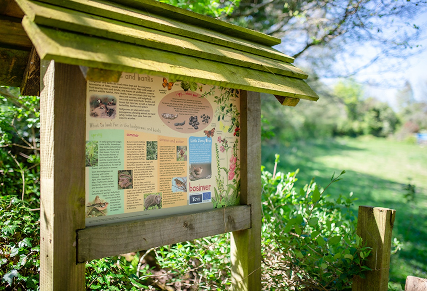 Bosinver walking trails