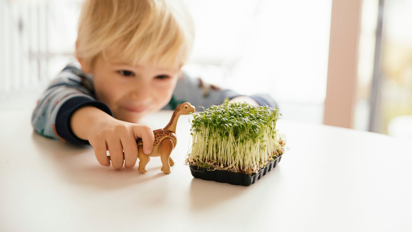 Boy playing with dinosaur