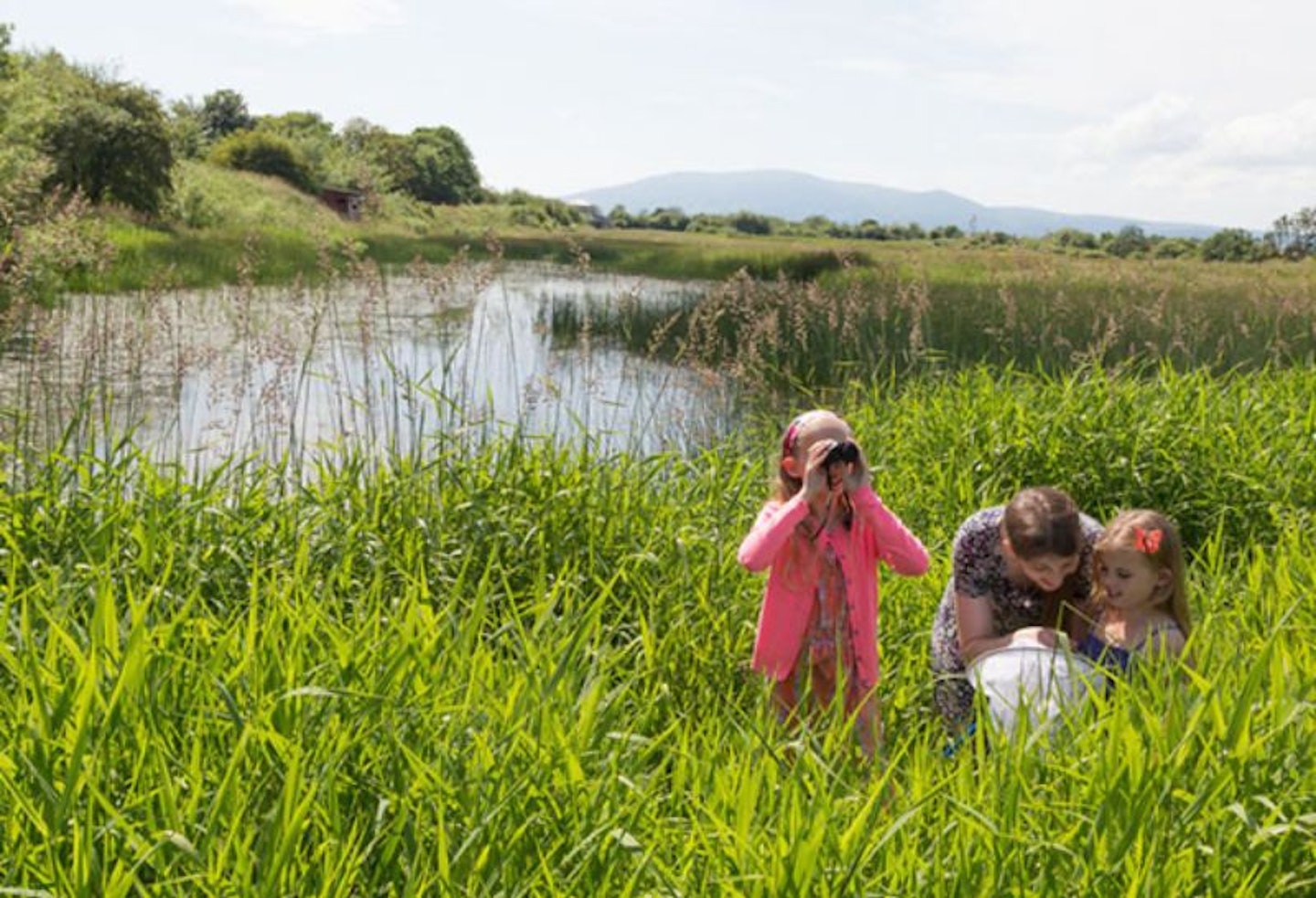 A family in the reeds birdwatching at Slimbridge Wetlands