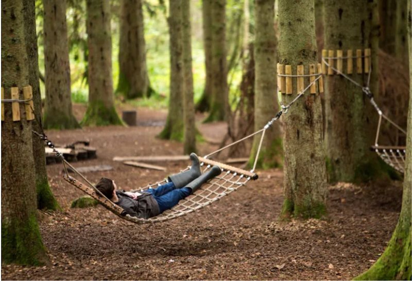 A boy lying on a hammock in the middle of a forest at the Lodge Forest Visitor centre, Aberfoyle