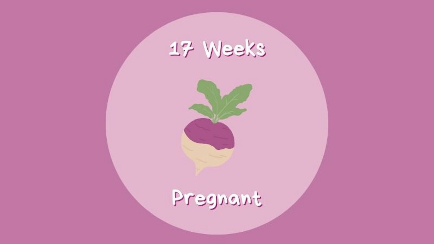 Week 17 17 Weeks Pregnant Quotes What You Need To Know About The Power Of
