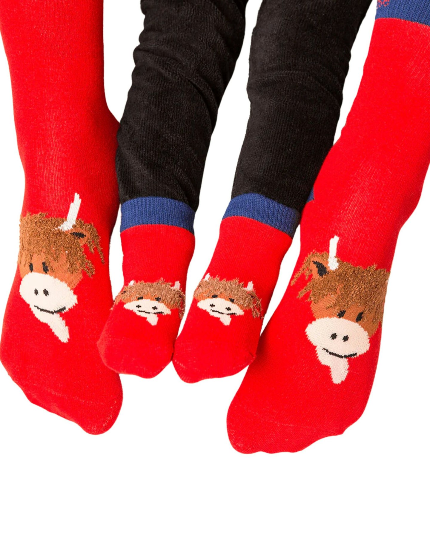 Hamish Highland Cow Socks Matching Adult & Baby Socks