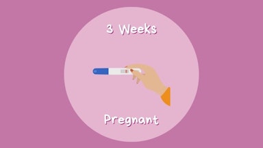Week By Week | Pregnancy | Mother & Baby