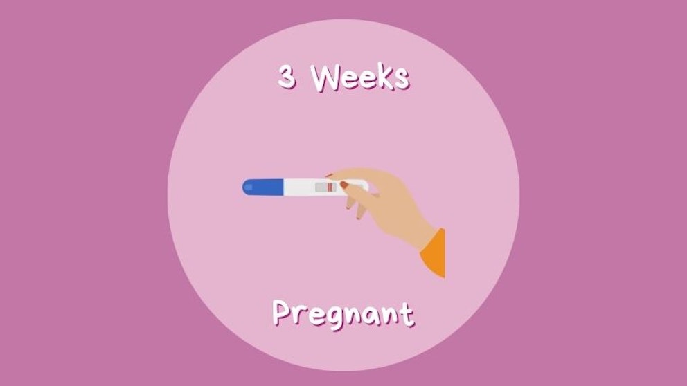 Week By Week | Pregnancy | Mother & Baby