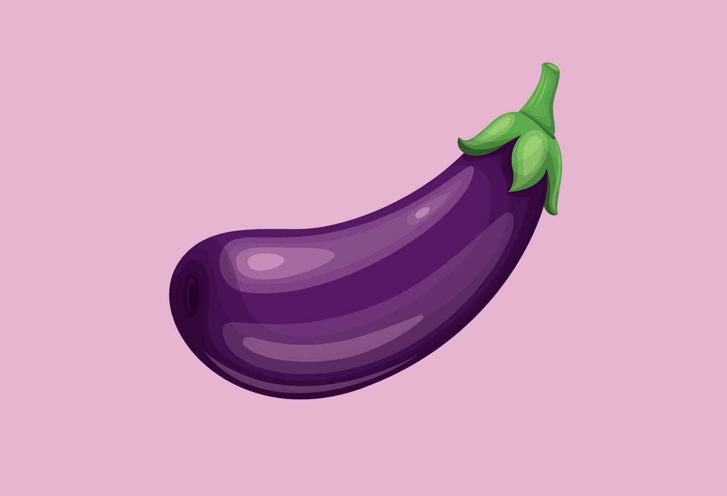 Eggplant Illustration