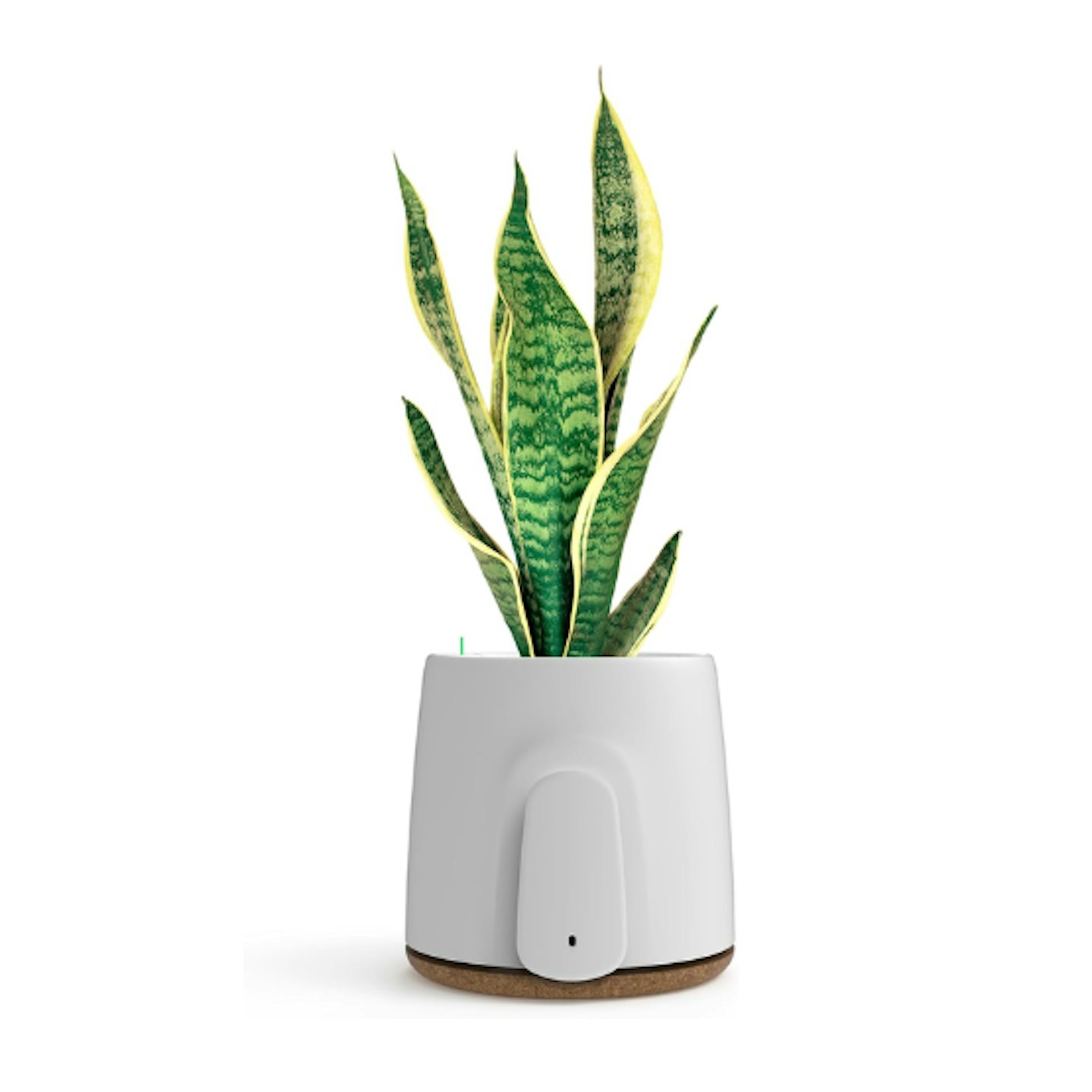 Vitesy natede smart air purifier