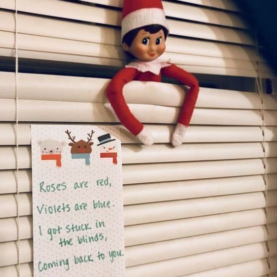 An elf stuck in the blinds