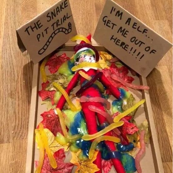 Elf in a box of sweet snakes with a sign saying 