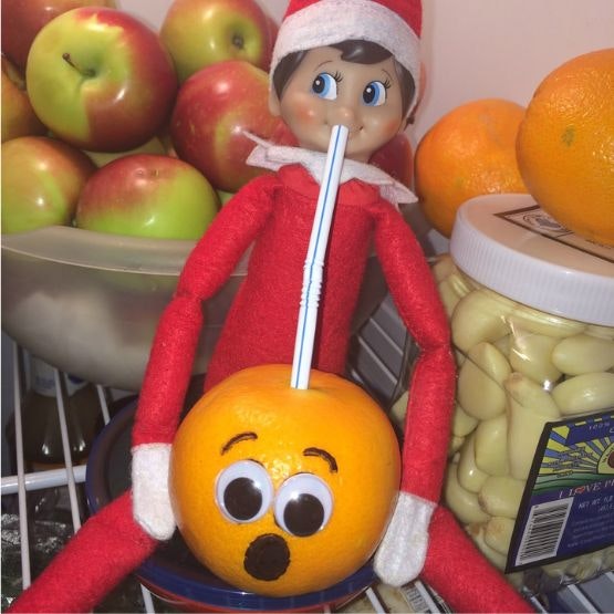 An elf in the fridge with a straw in an orange and a shocked face on the orange