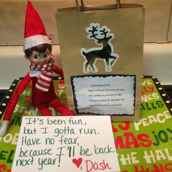 Elf with a bag of reindeer food and a note saying 