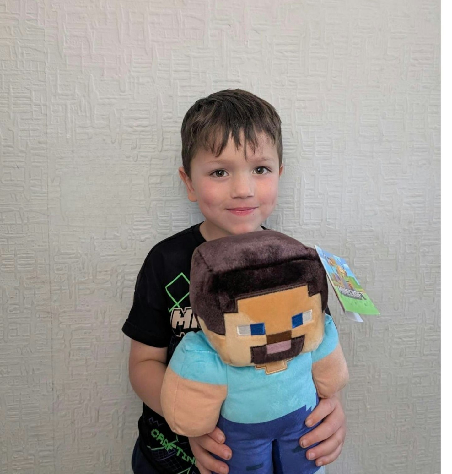 Mattel Minecraft Basic Plush Character Soft Dolls