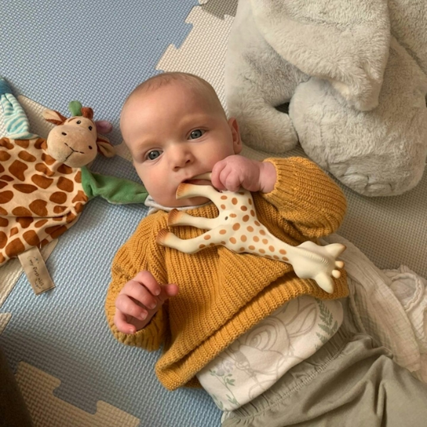 Sophie la girafe Original Teether