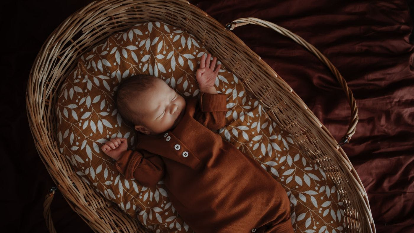 11 Best Moses Baskets 2023 Reviews Mother & Baby