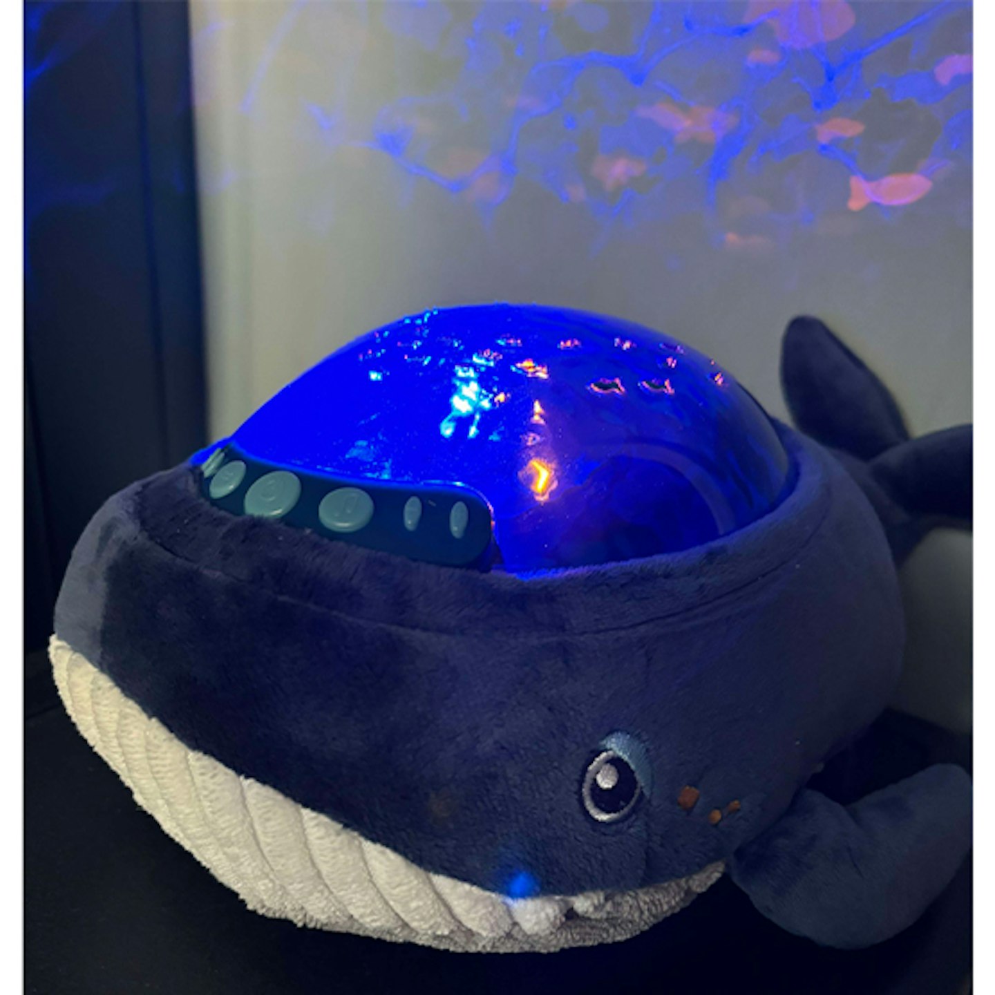 Pabobo whale night light