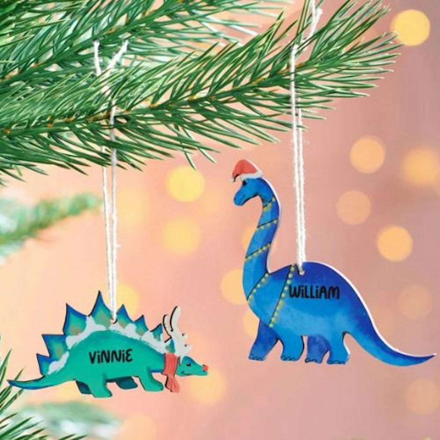 Personalised Dinosaur Decorations