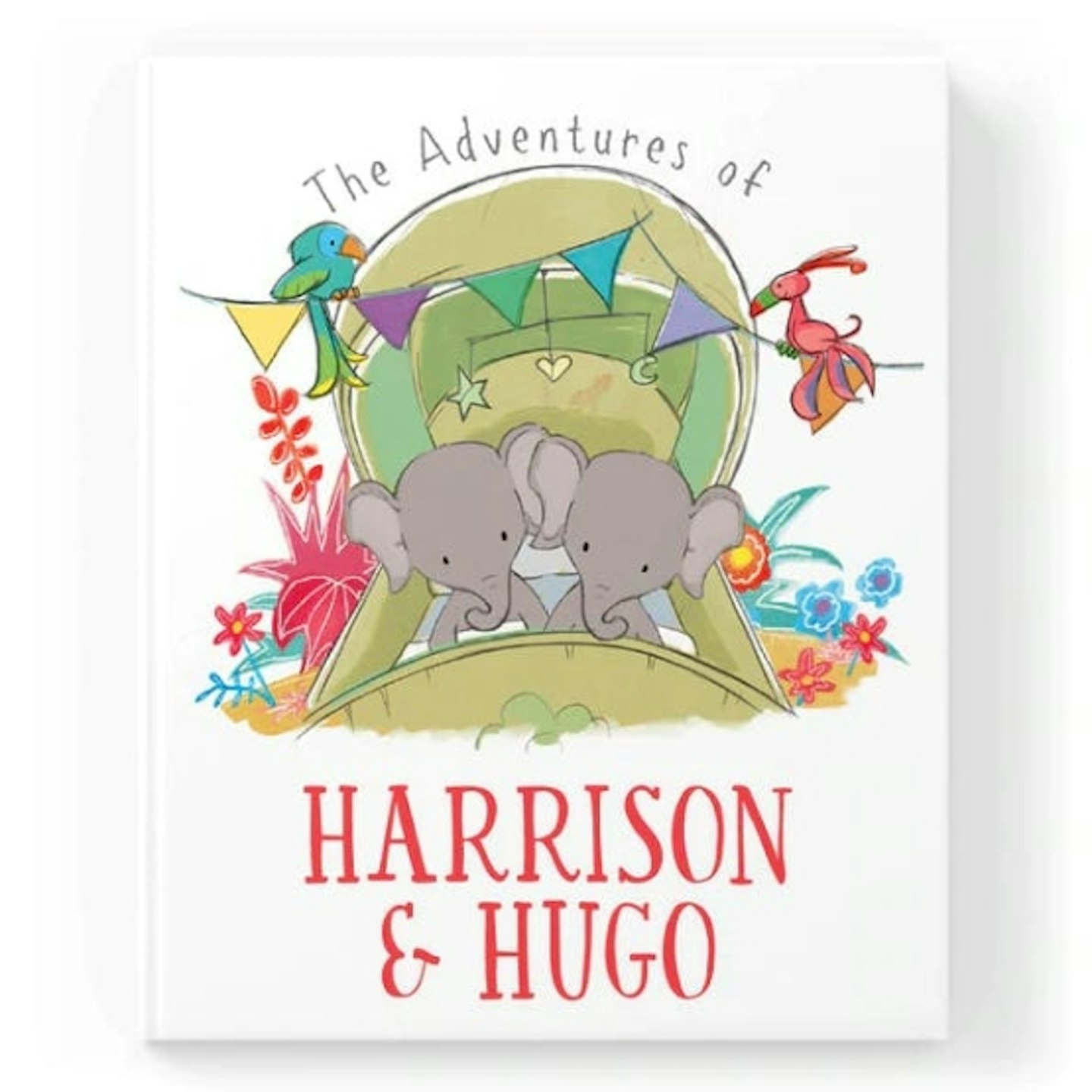 Personalised Twins Story Book