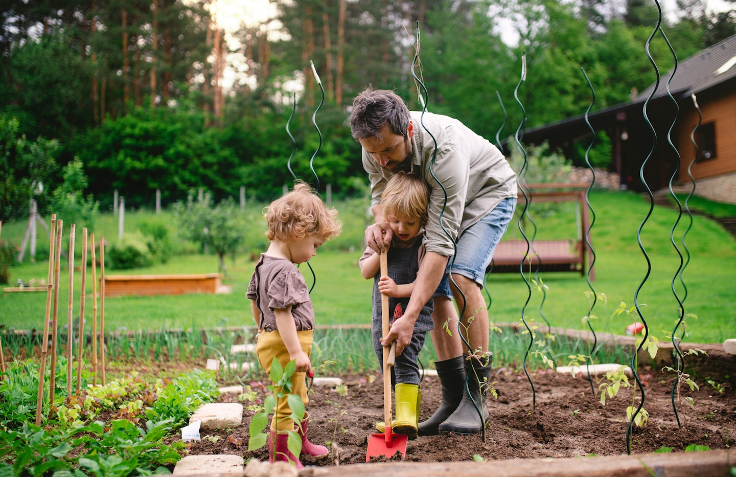 Two children doing gardening with their dad.