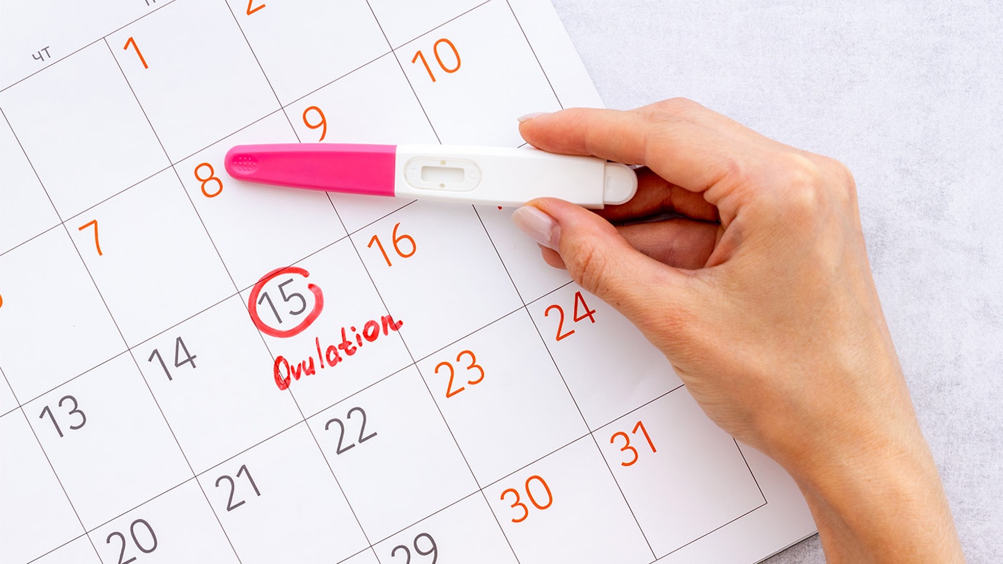 Late ovulation: how it can affect your fertility