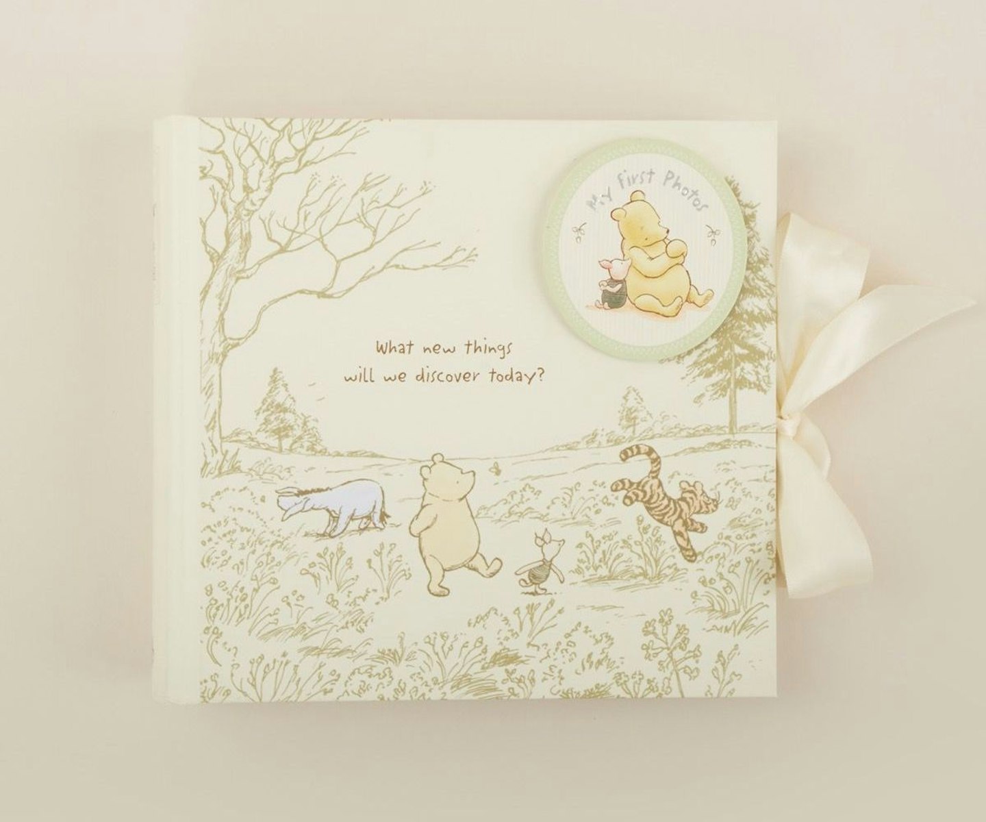 winnie-the-pooh