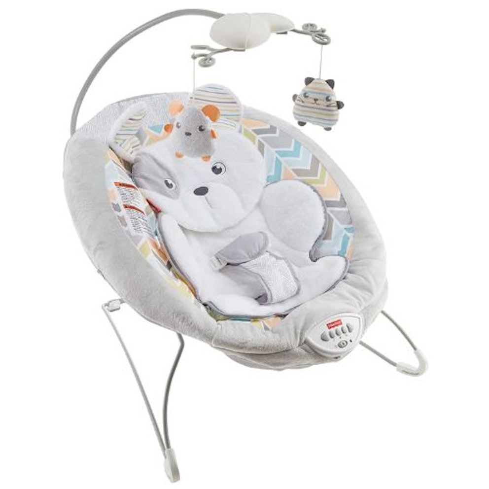 14 best baby bouncers and rockers for newborns and infants