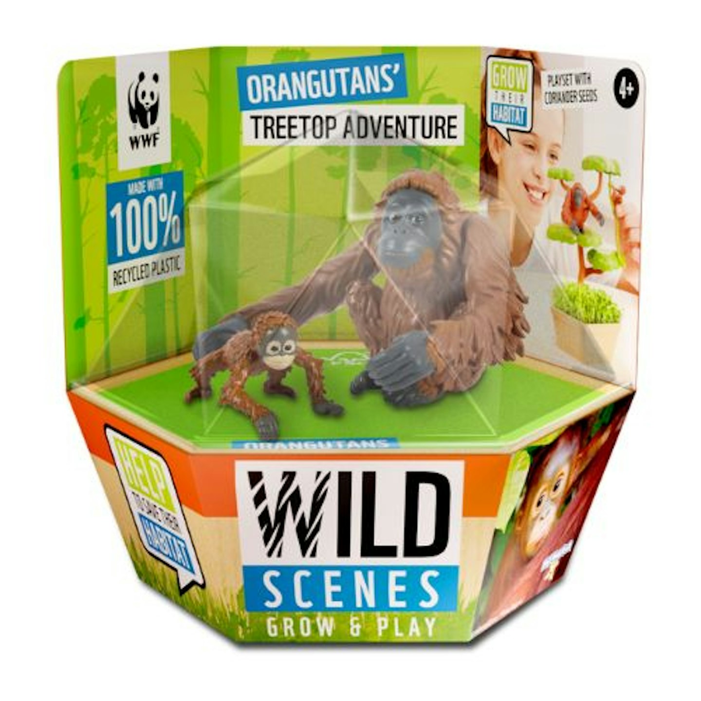 Orangutans’ Treetop Adventure