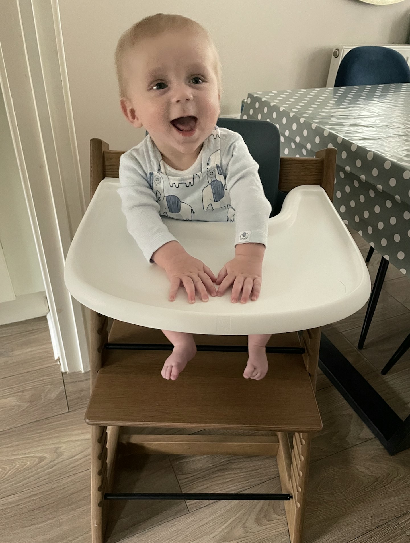 baby sitting in the stokke tripp trapp high chair