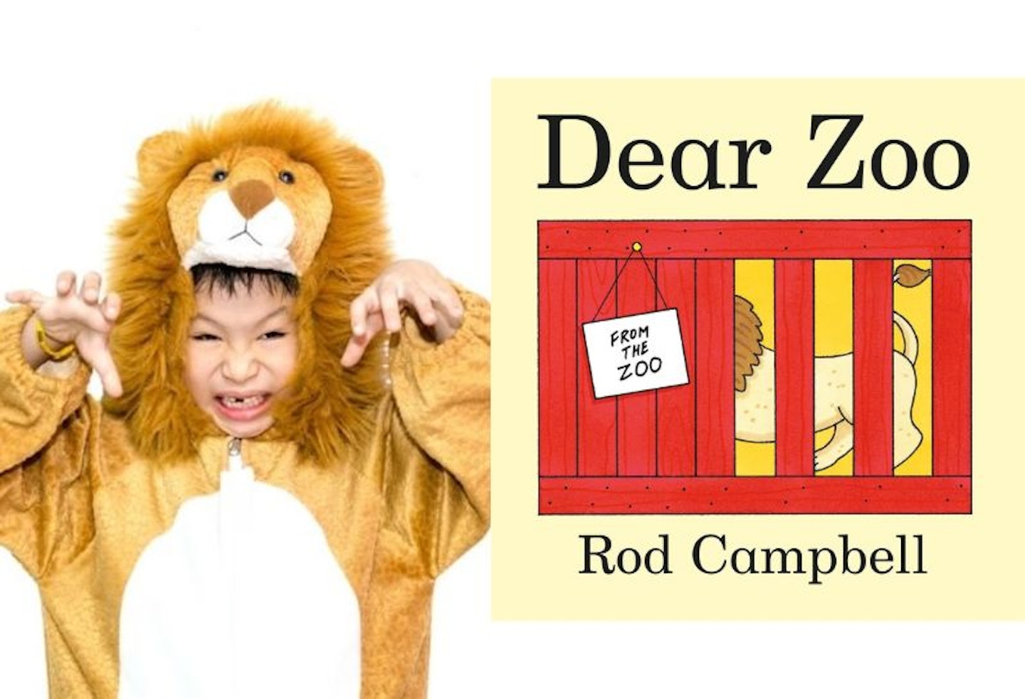 A photo of a boy dressed up as a lion and a front cover image of Dear Zoo