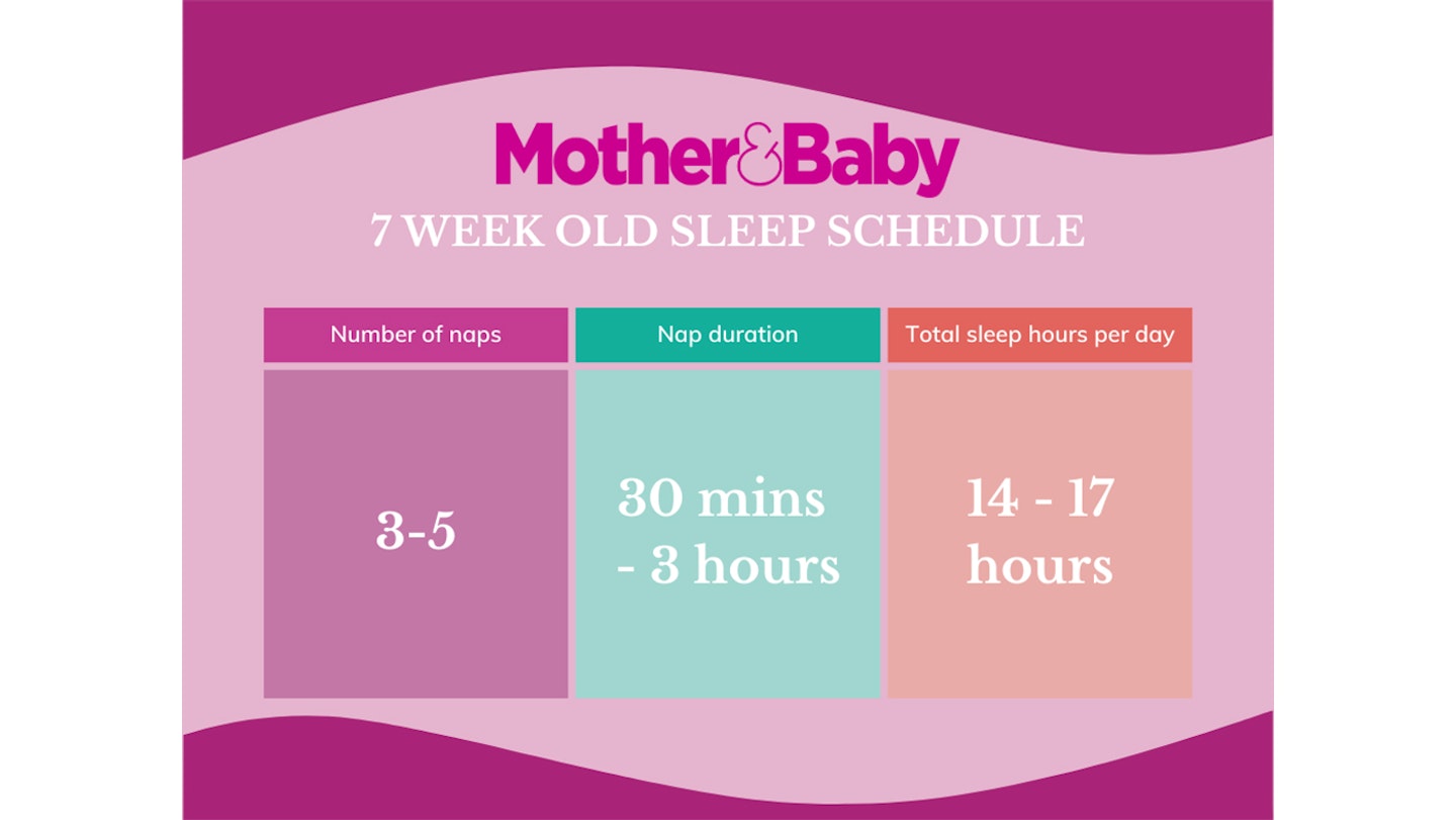 7 week old baby sleep schedule