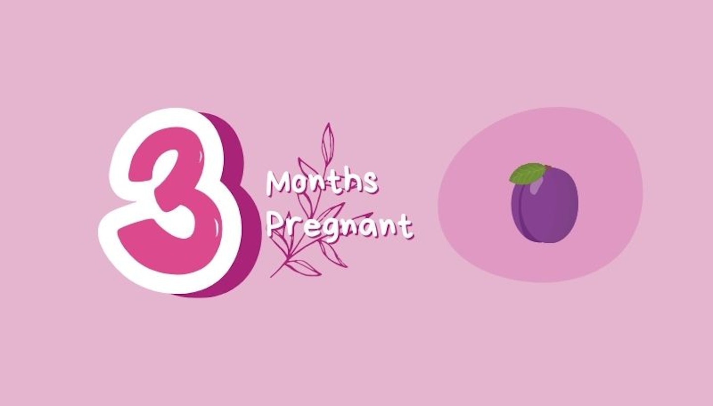 Month 3 of Pregnancy