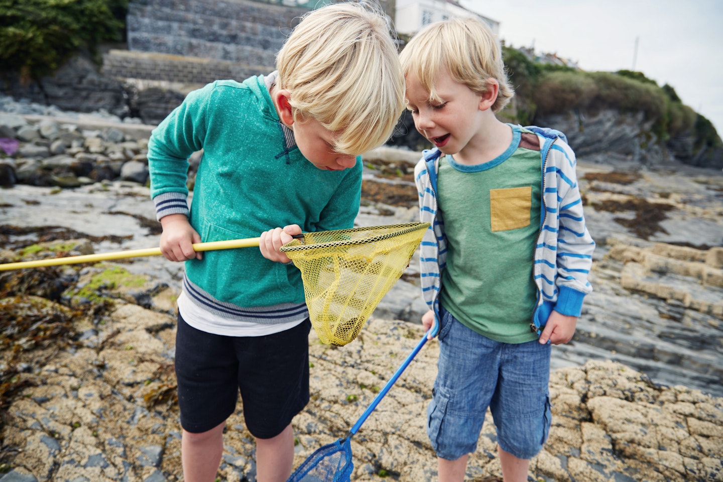 Two boys playing in the rock pools at the beach looking at a crab they have caught