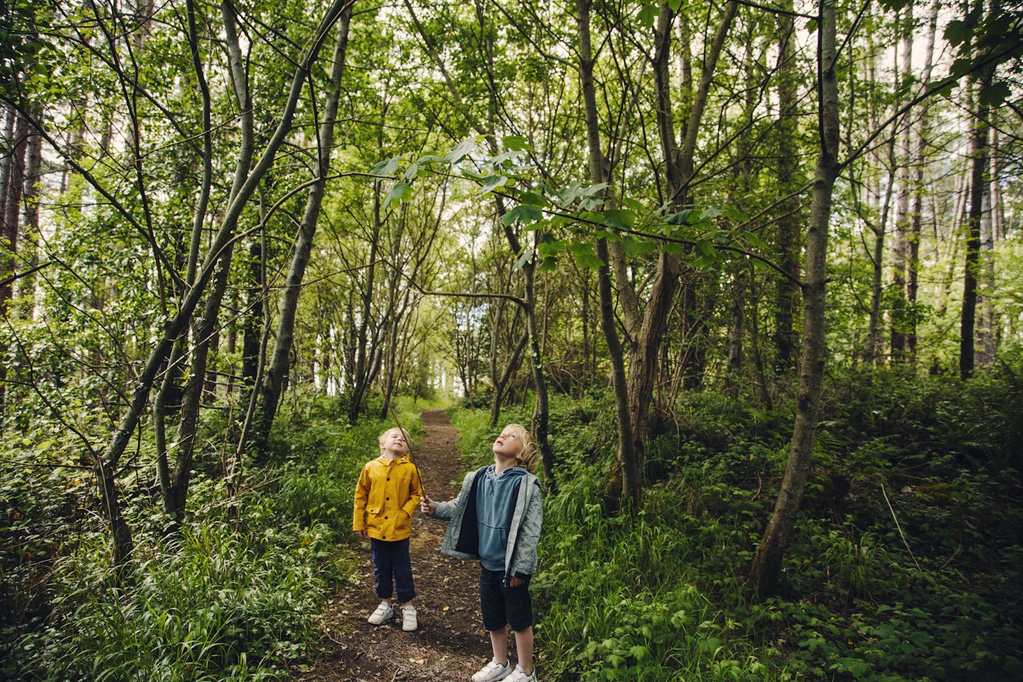 Two little boys walking in a Welsh forest
