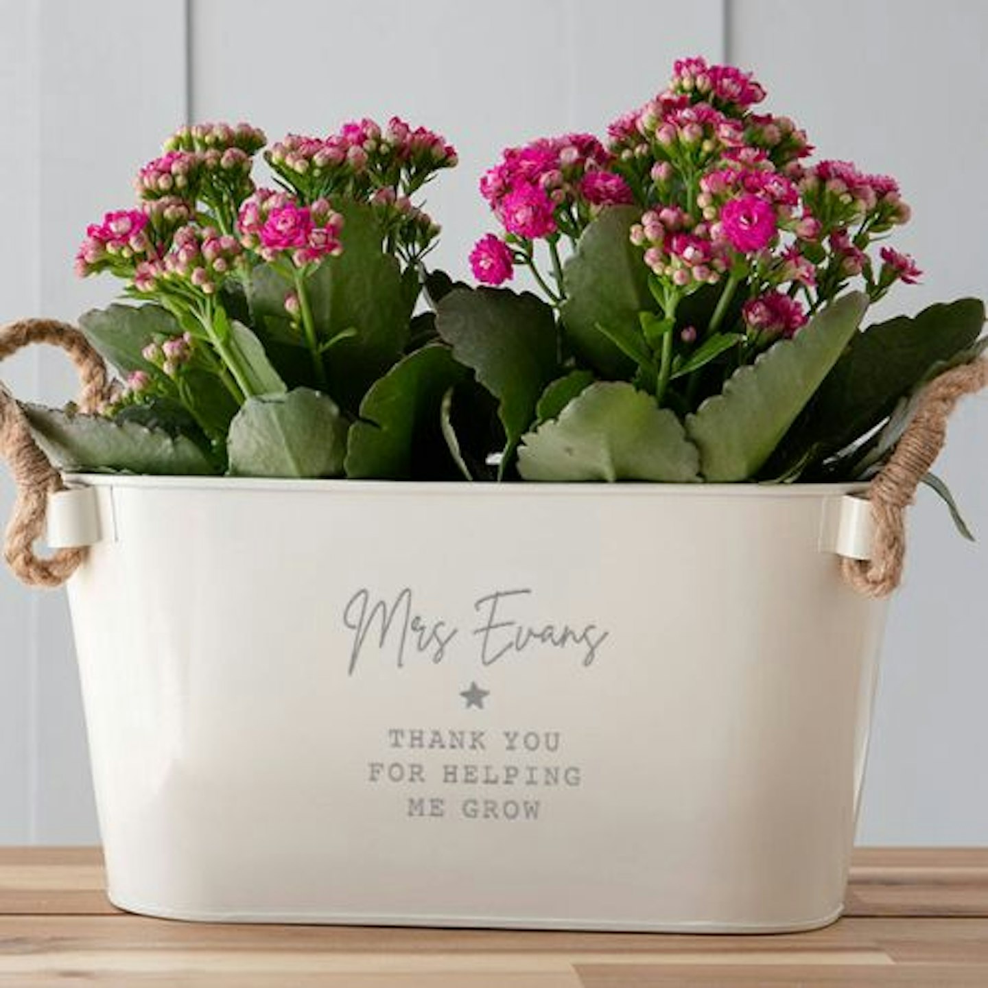 best-gifts-for-teachers-gifts-planter