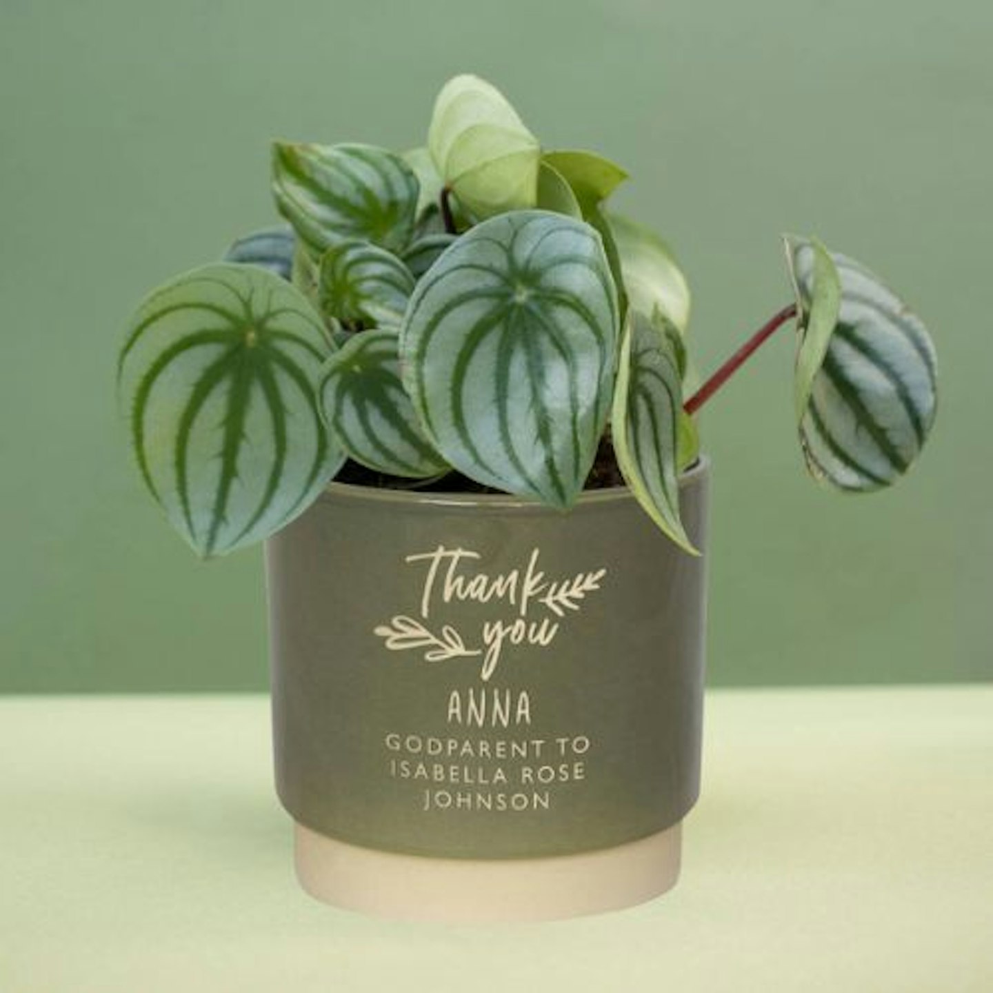 Best gifts for godparents Personalised Godparents Indoor Plant Pot