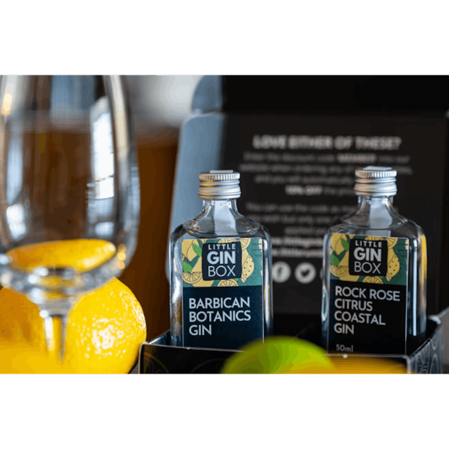 Best subscription gifts gin box