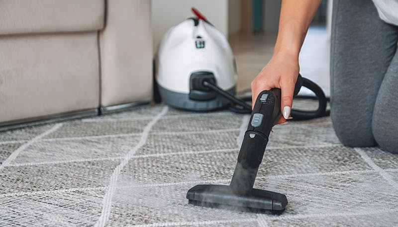 Steam vacuum store cleaner for carpet