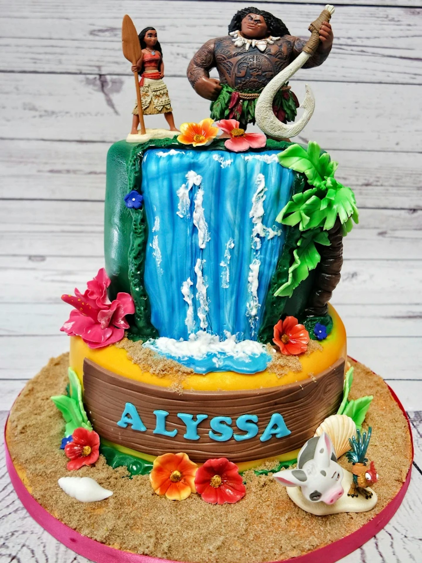 Moana crafty birthday cake 