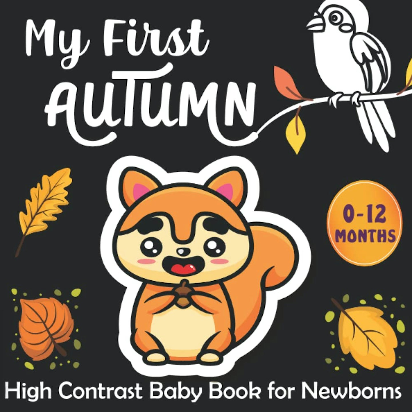 My first autumn book 