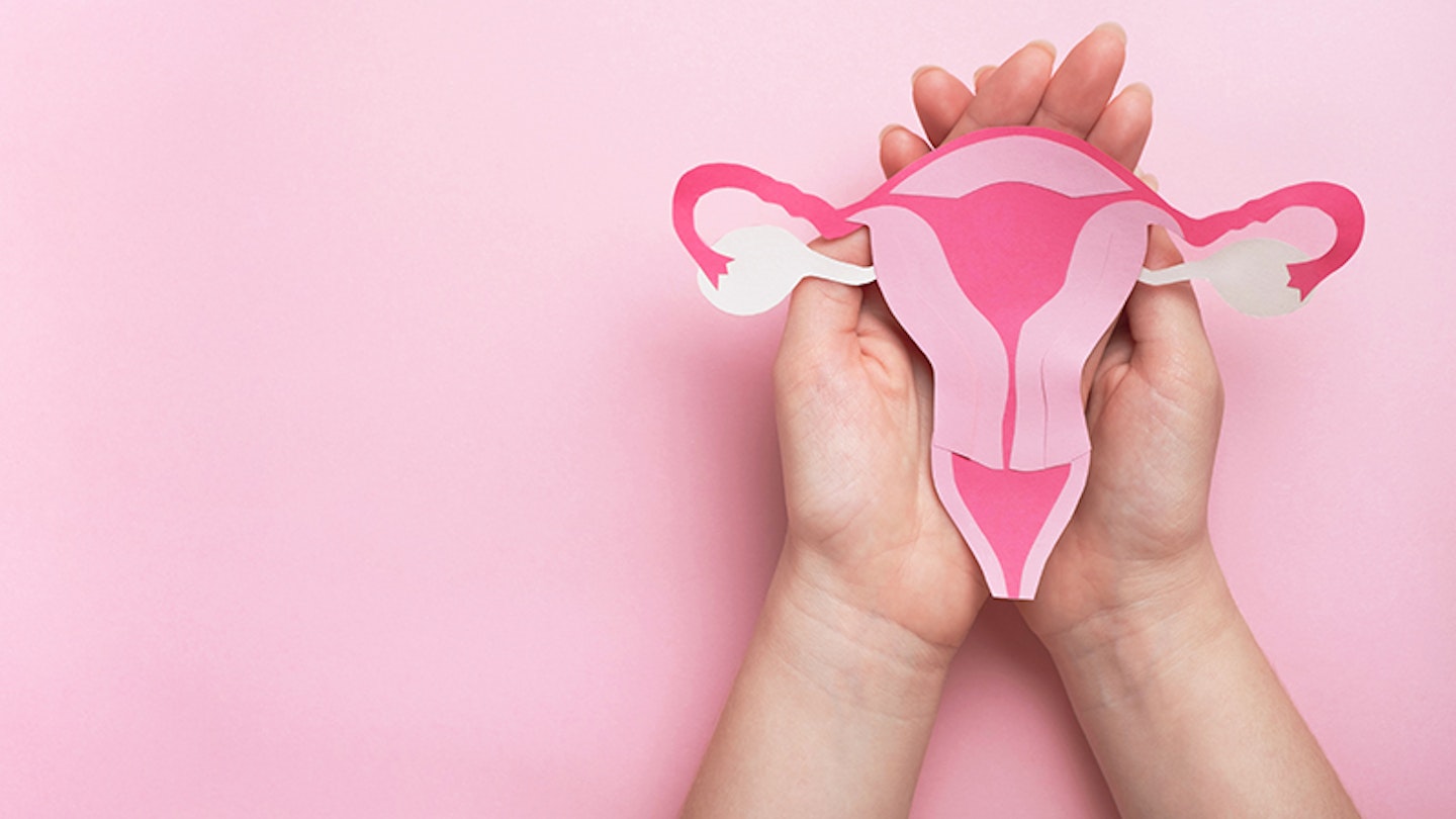 Woman hands holding decorative model uterus on pink backgroun